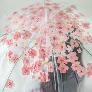 Cherry blossom transparent umbrella by Wonderful Collection